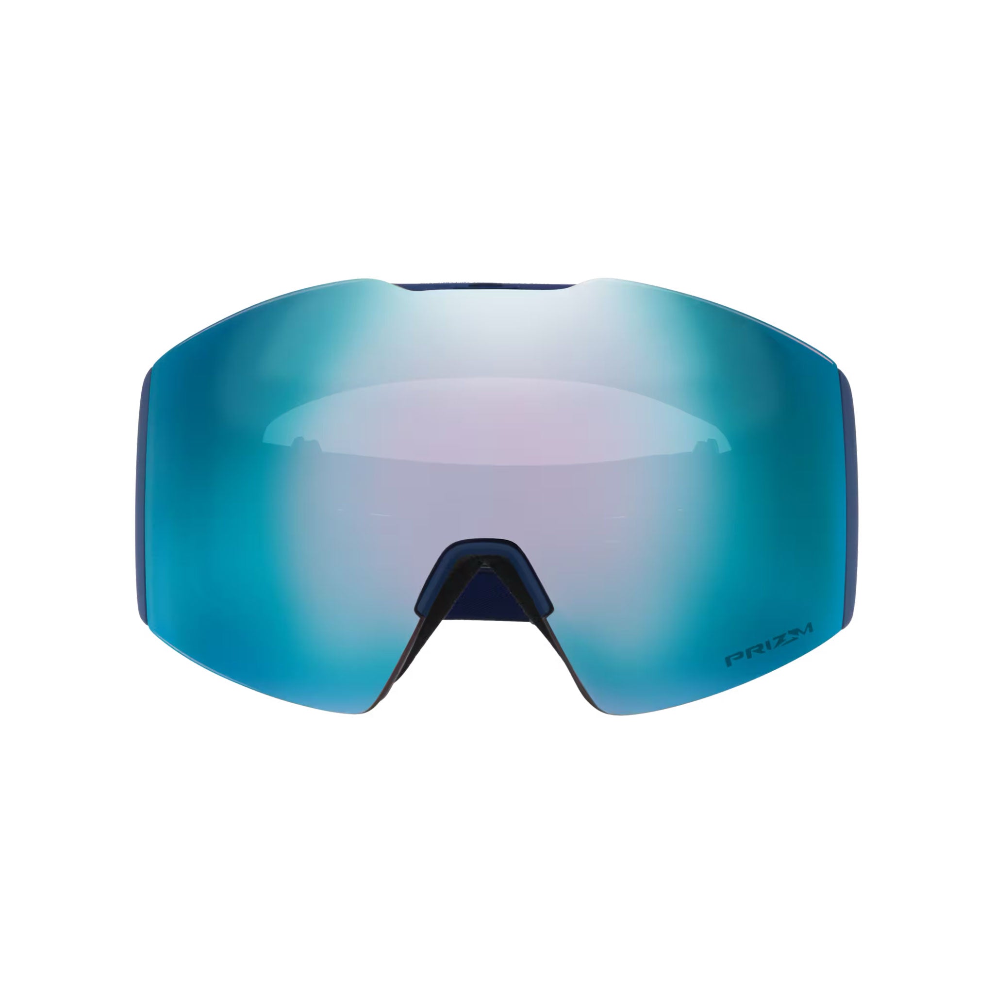 Fall Line L Snow Goggles in Sapphire